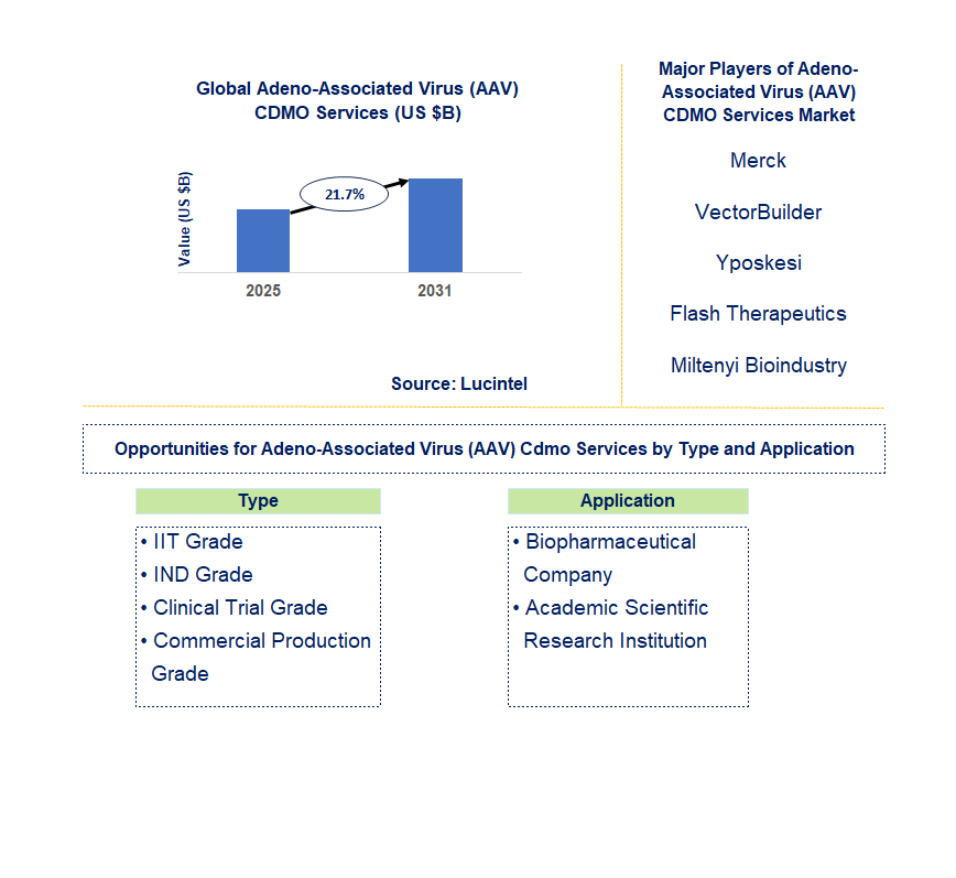 Adeno-Associated Virus (AAD) CDMO Services Market Trends and Forecast